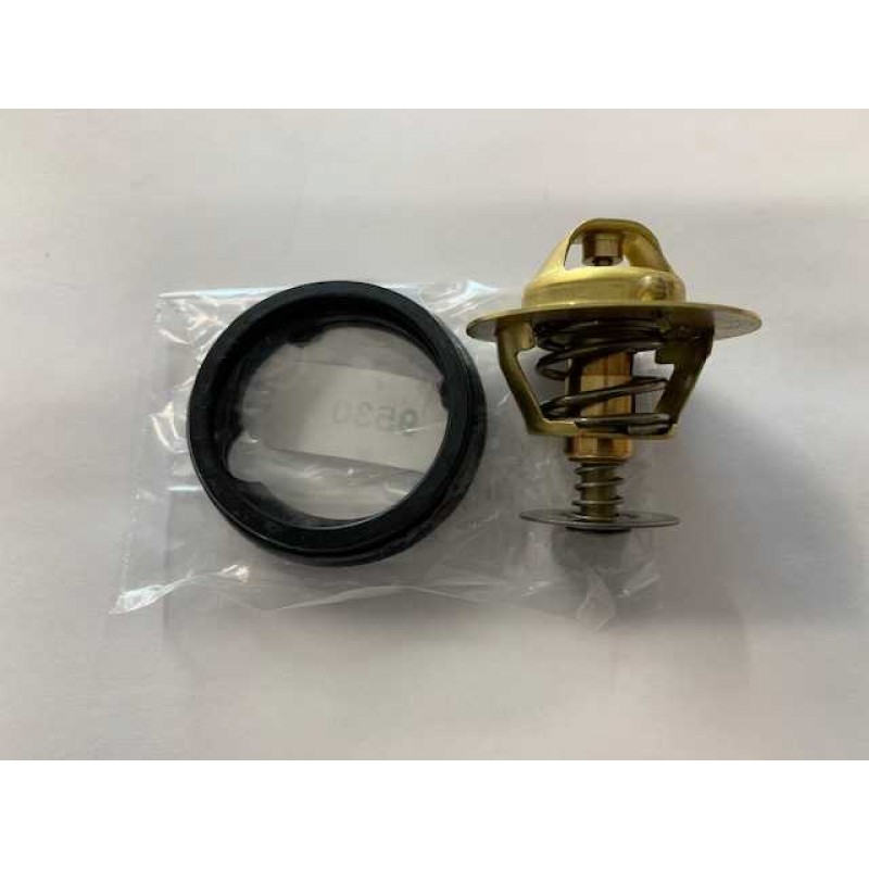 Blacktop Zetec Low Temp Thermostat